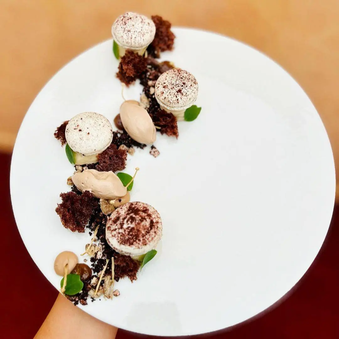 creation thumb for Chocolate and Chestnut