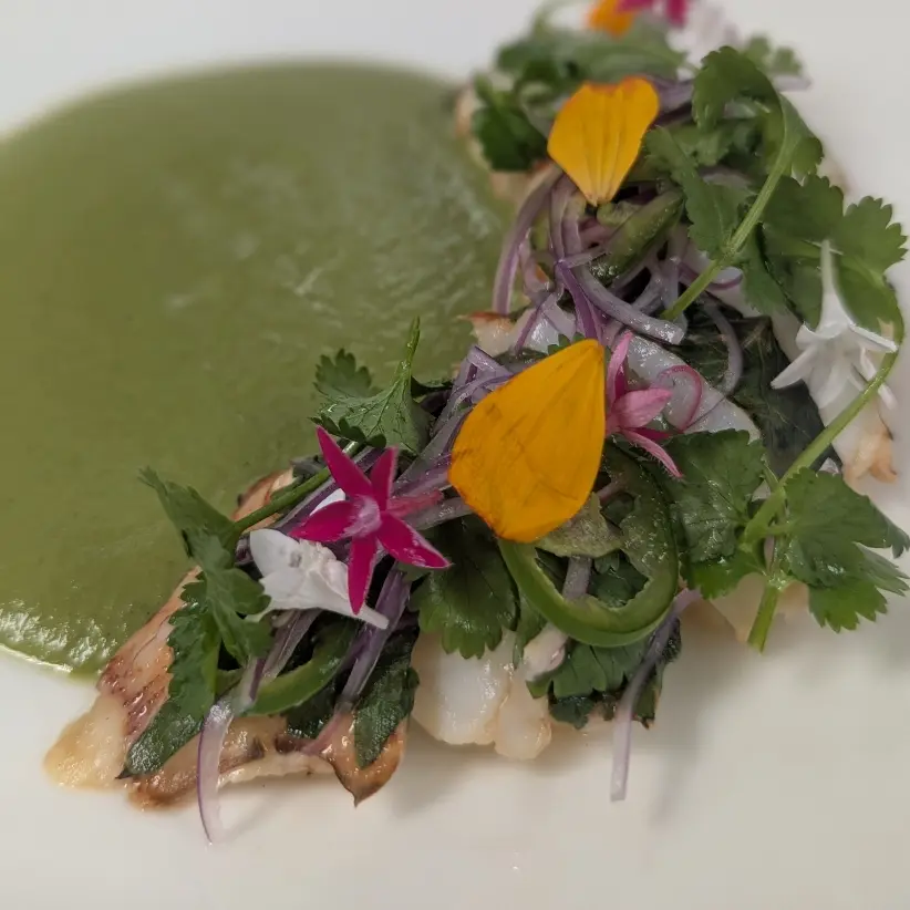 creation thumb for Lobster Green te matcha pipian