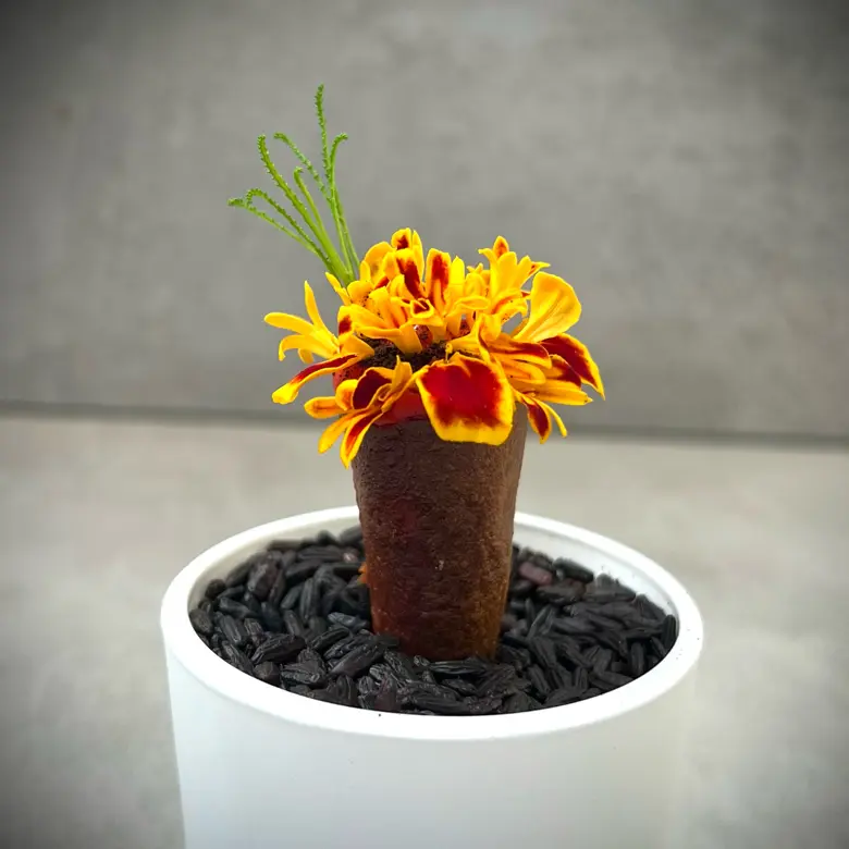 creation thumb for Sweet potato cone, pumpkin and beetroot puree and gorgonzola