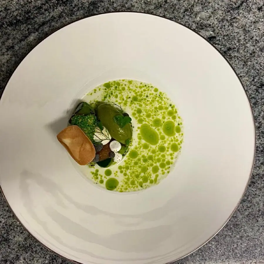 creation thumb for Thai basil 🌿 | Dill 🌱| Granny smith 🍏