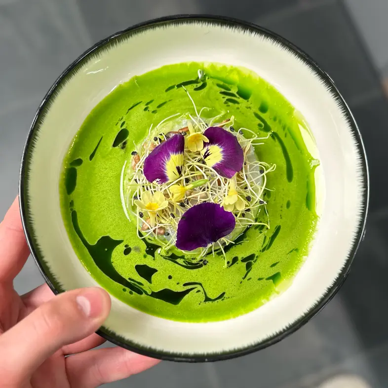 creation thumb for Dill oil 🌱