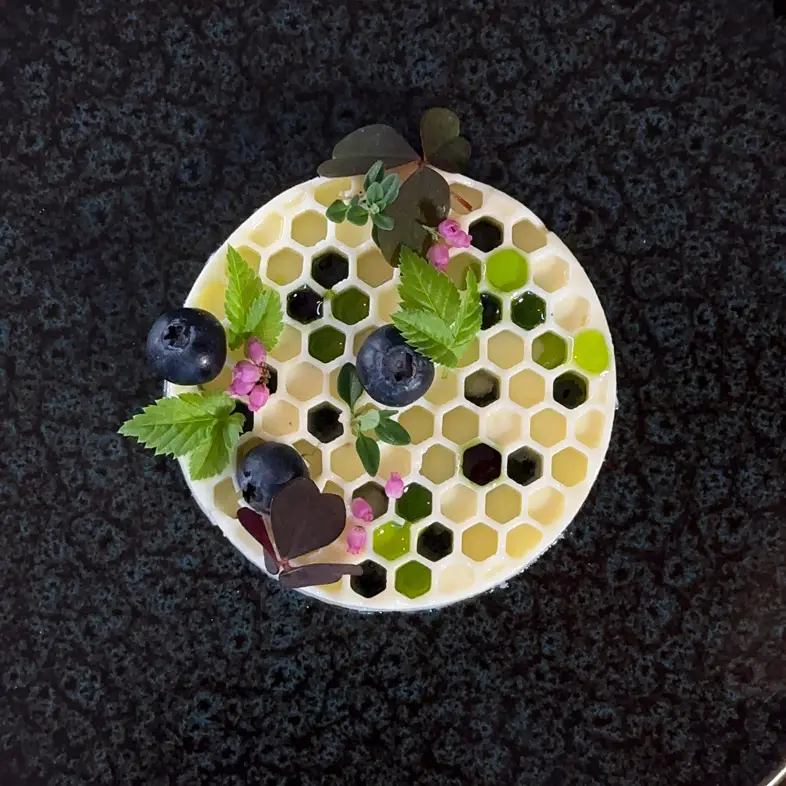 creation thumb for Honeycomb Yogurt Mousse 🍯