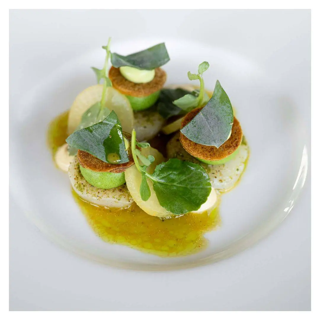 creation thumb for Scallops / Indian Curry / Basil / Radish / Salty Plants