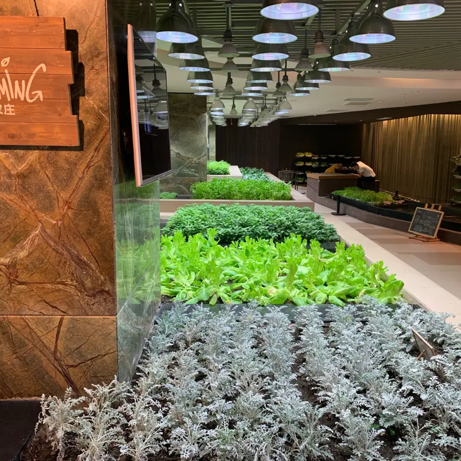creation thumb for URBAN FARMING