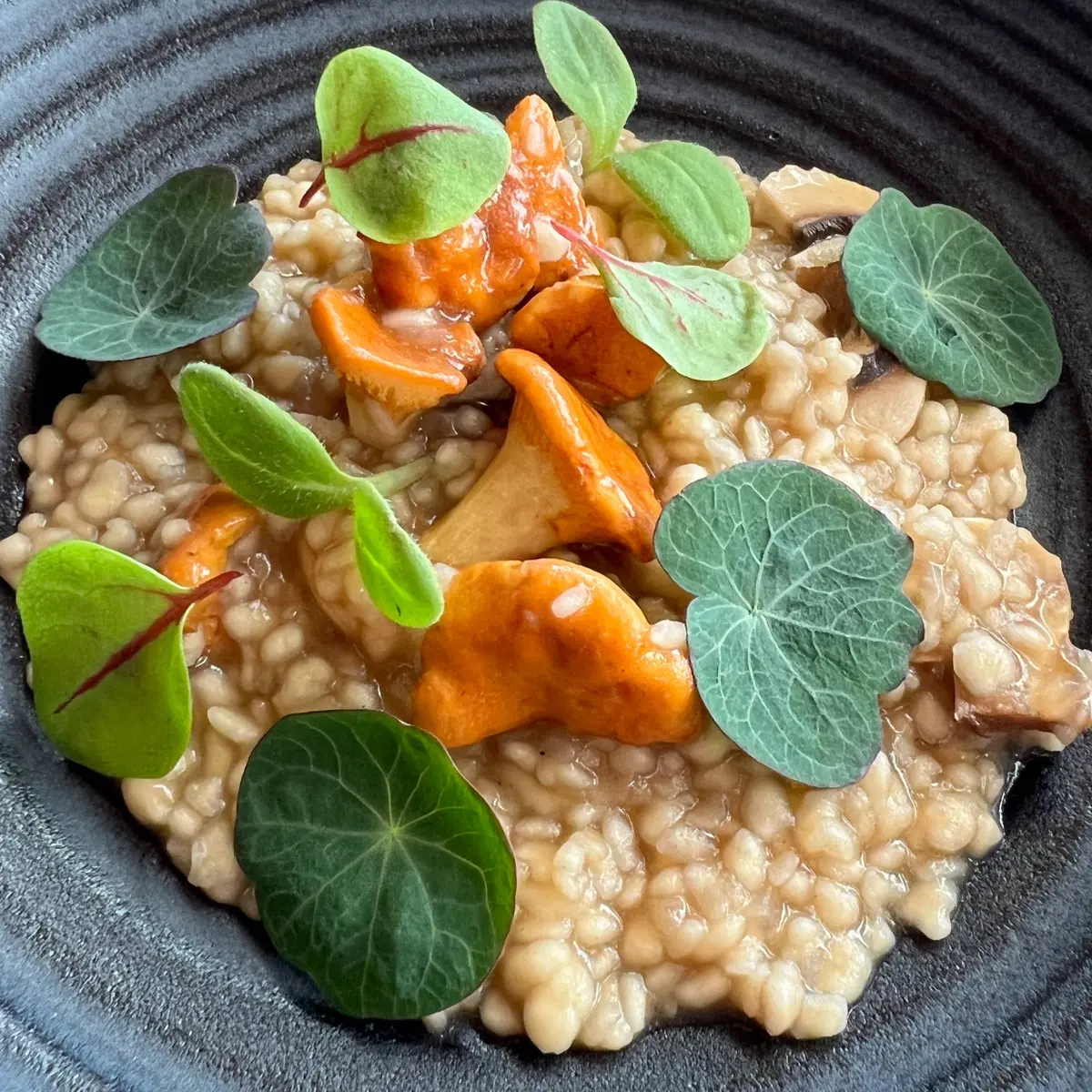 creation thumb for "Cuscus de Vinhais" & seasonal mushrooms