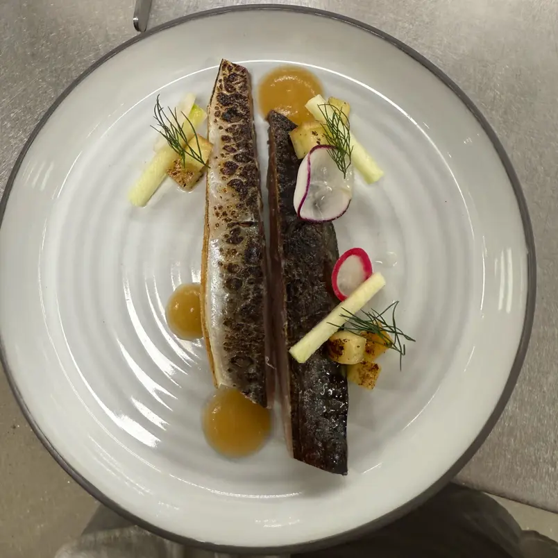 creation thumb for Mackerel starter
