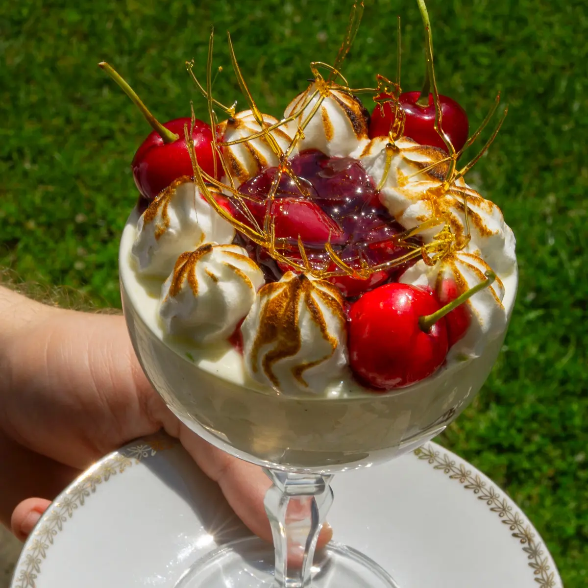 creation thumb for Citrus Cream and Cherries with Chocolate Ladyfingers