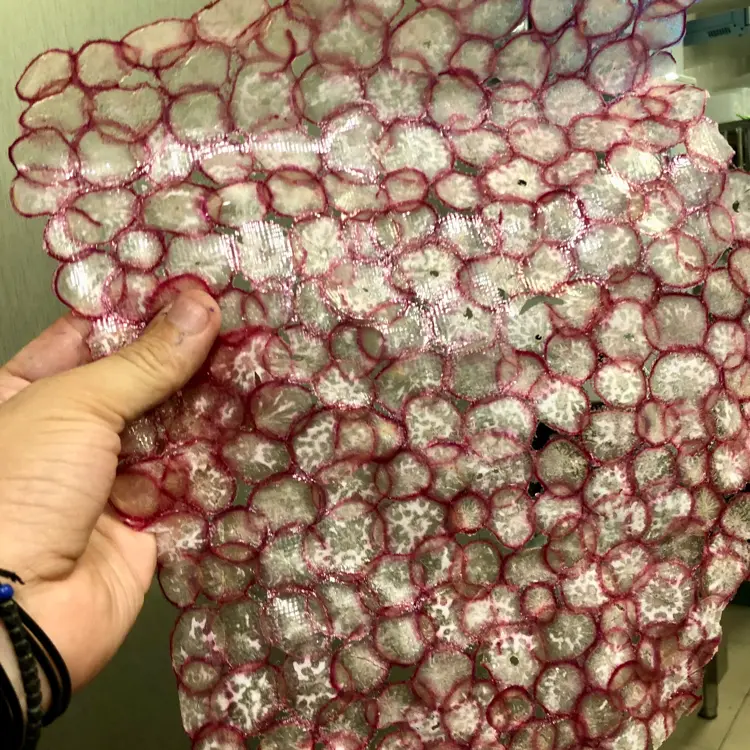 creation thumb for Radish Net #StavrosTsikalas #2023
