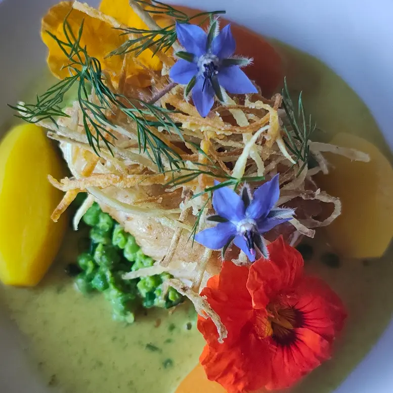 creation thumb for Pan roasted cod pea and spring onion fricassee