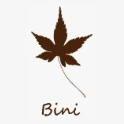 Bini