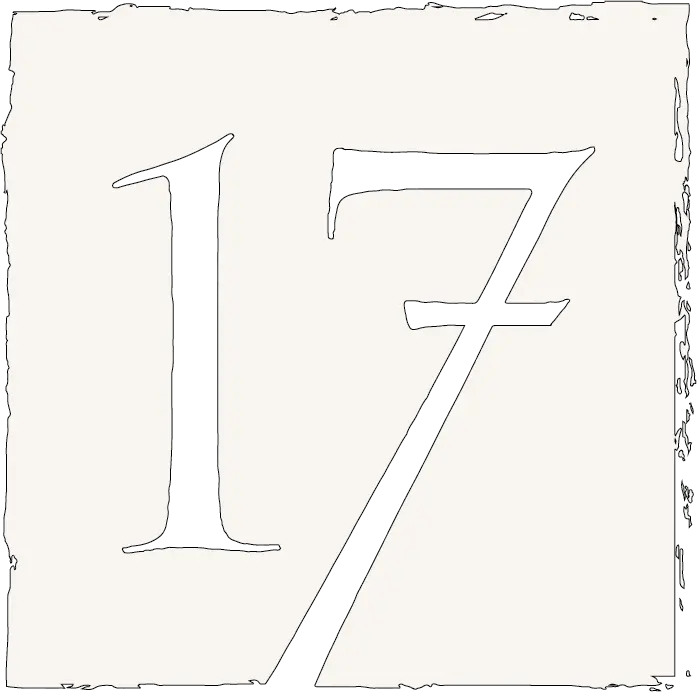Noz 17