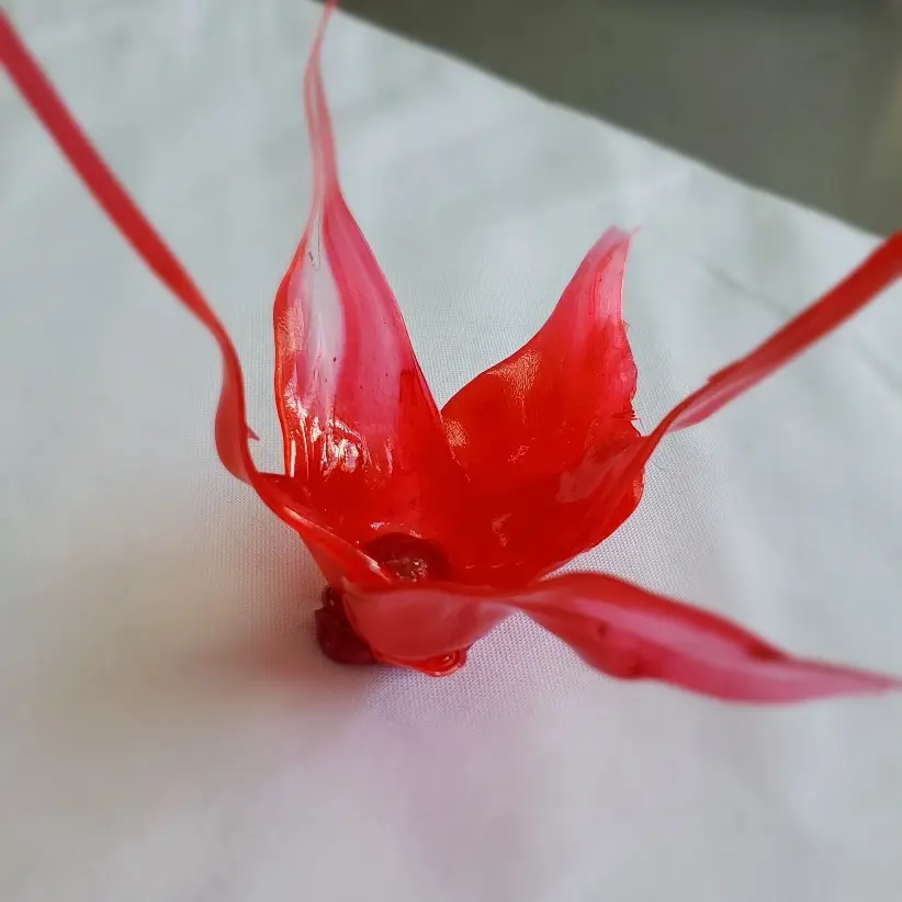 creation thumb for Stretched candy flowers