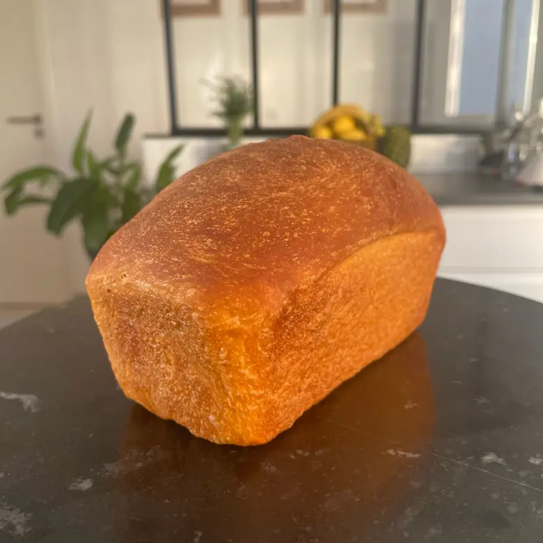 creation thumb for Tomatoes sandwich bread 🍞