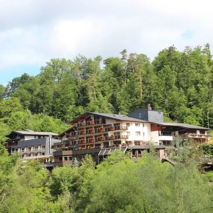 creation thumb for Mönchs Waldhotel