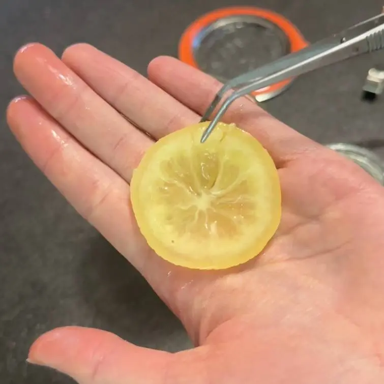 creation thumb for Citrons confits / Cornichons au citron