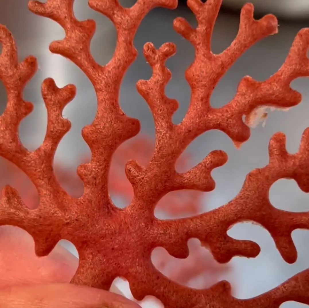 creation thumb for Raspberry coral