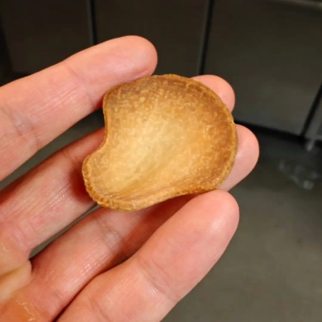 creation thumb for Scallop Shell Tartalette