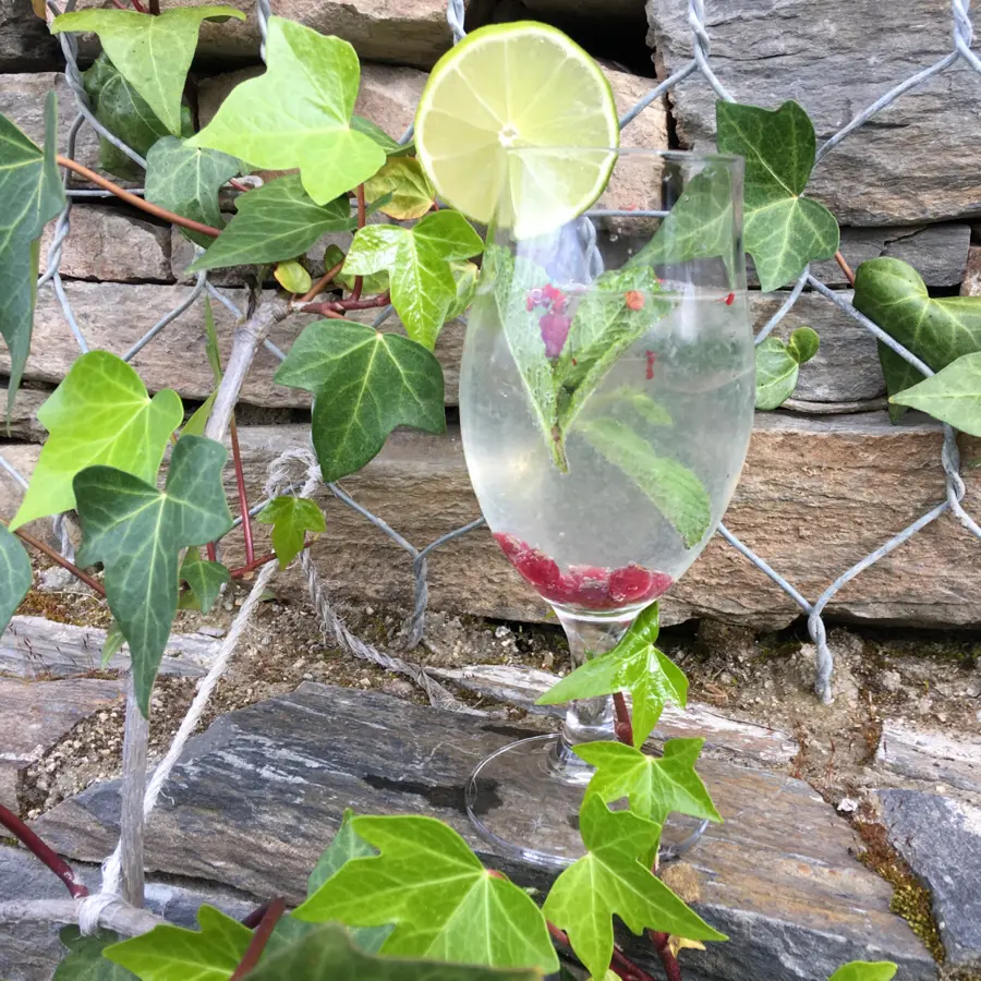 creation thumb for Sarah’s Cocktail - Longroiva Hotel Rural