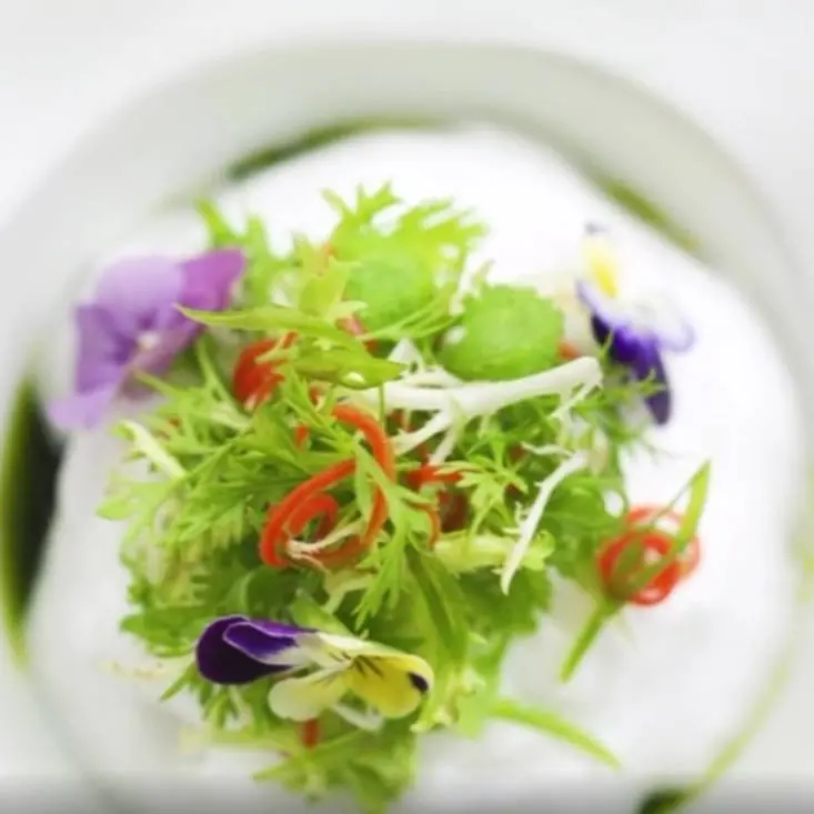 creation thumb for Hokkaido scallop with Asian dressing and lime espuma