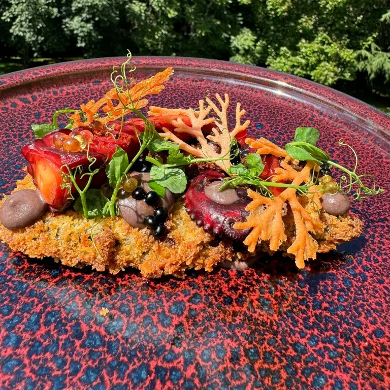 creation thumb for Octopus, auborgine,black beans,chorriso,mango,balsamico