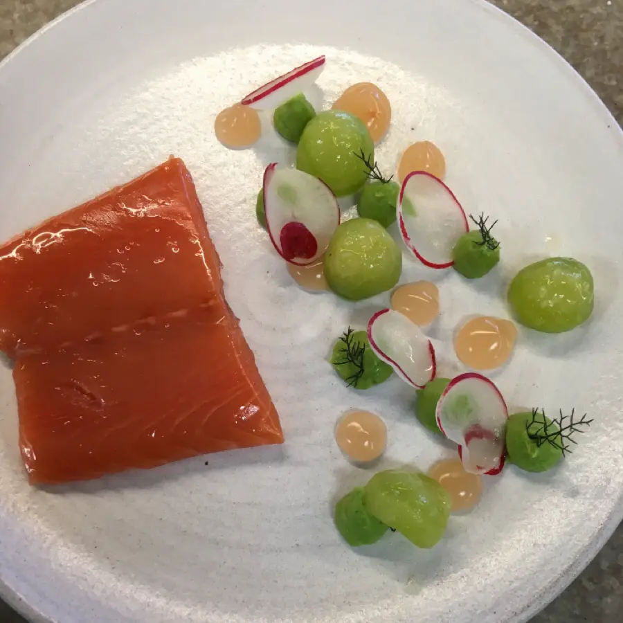 creation thumb for Salmon, compressed cucumber, grapefruit gel, avocado, radish and fennel