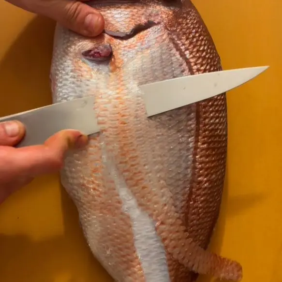 creation thumb for Sukibiki (Knife Scaling Technique)