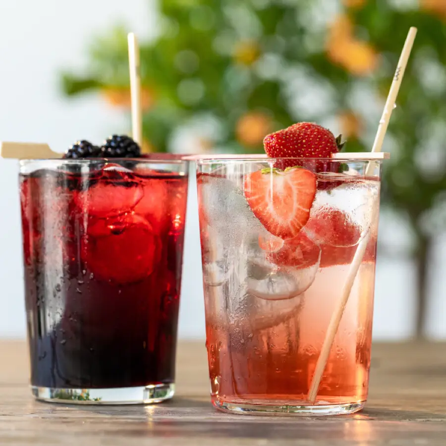 creation thumb for Homemade Lemonades and Icetea ;)