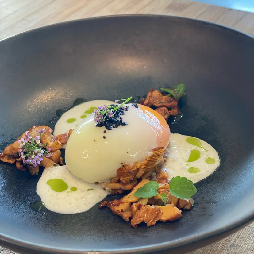 creation thumb for Perfect egg, chanterelles, Pecorino emulsion and parsley oil