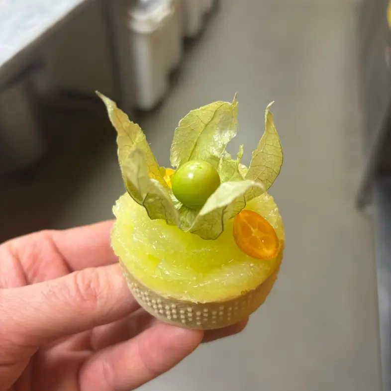 creation thumb for Citrus Cream Torta