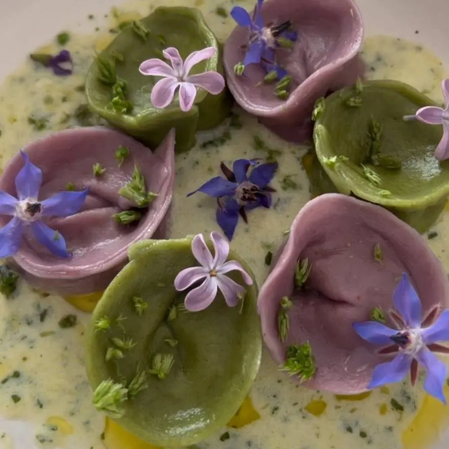 creation thumb for Cappellacci stuffed with field sprouts & cooked in hay water