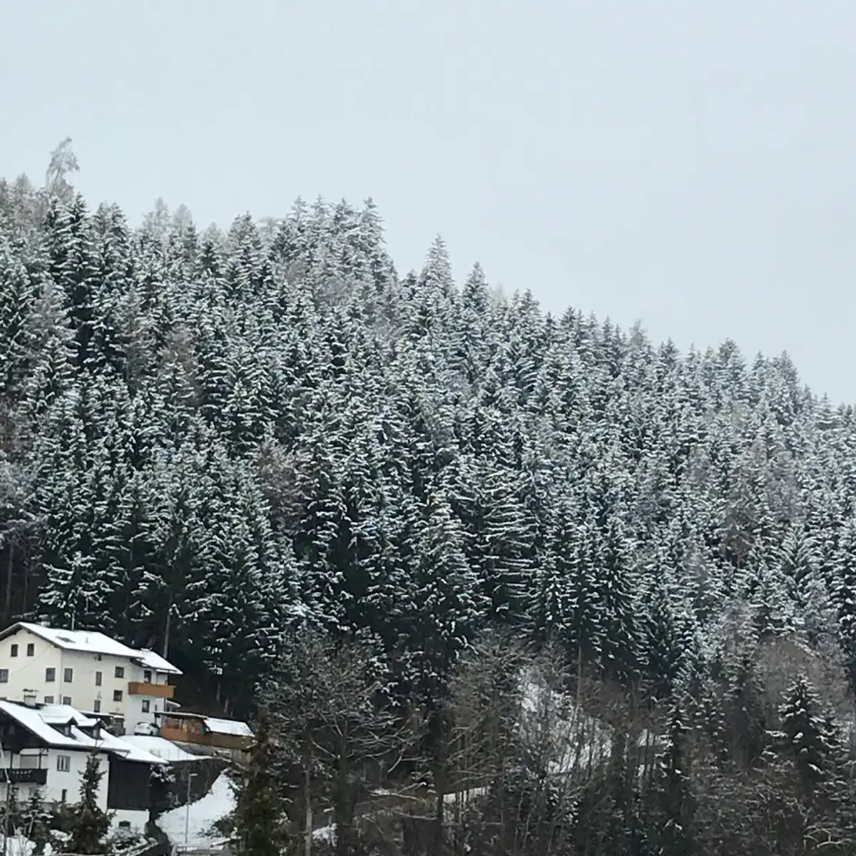 creation thumb for Office view 🙌❄️