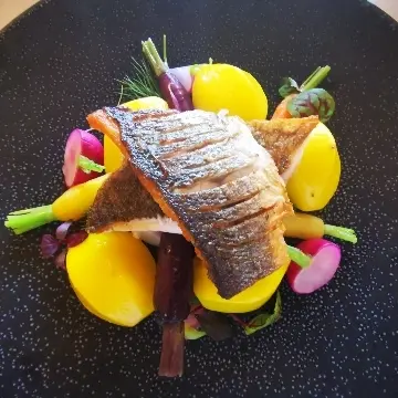 creation thumb for Sea bass