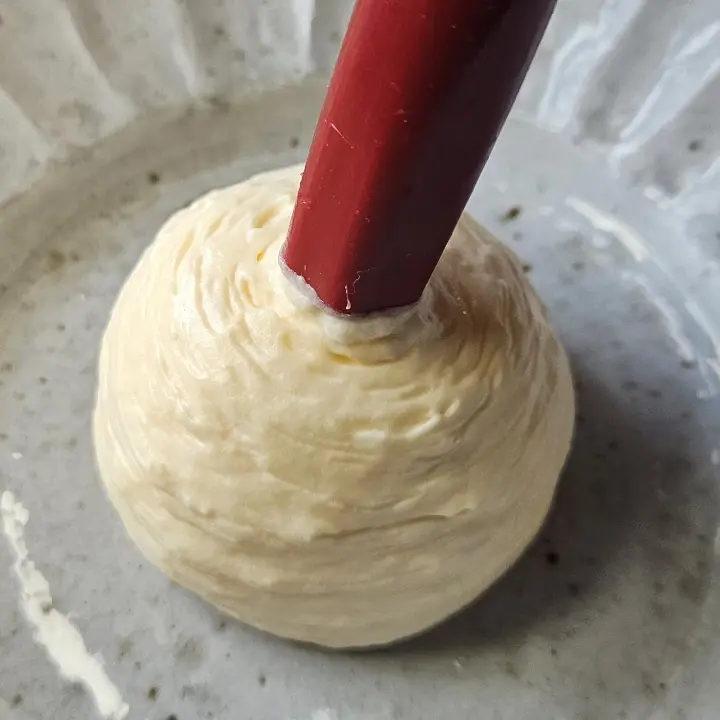 creation thumb for Greek yoghurt & pumpkin siphon foam