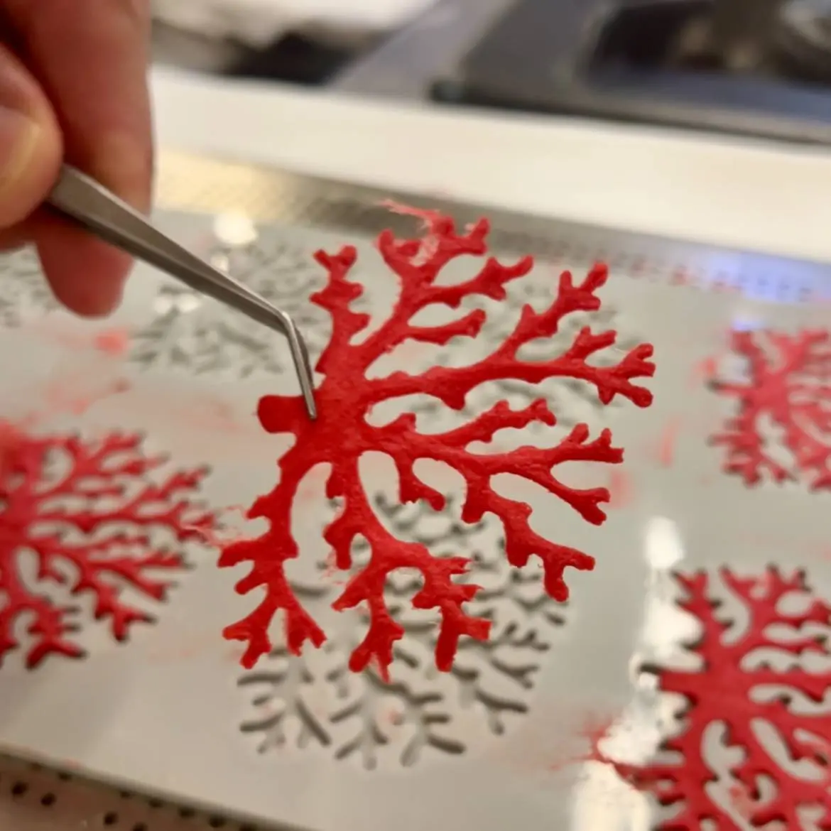 creation thumb for Tomato Tuille