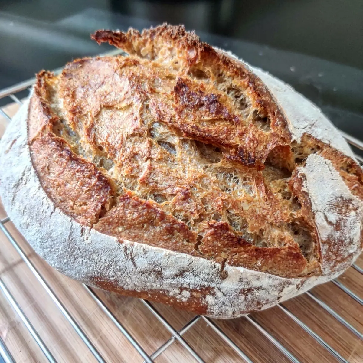 creation thumb for Sourdough Bread