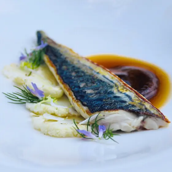 creation thumb for Mackerel,shiitake ,cauliflower purée!!!!