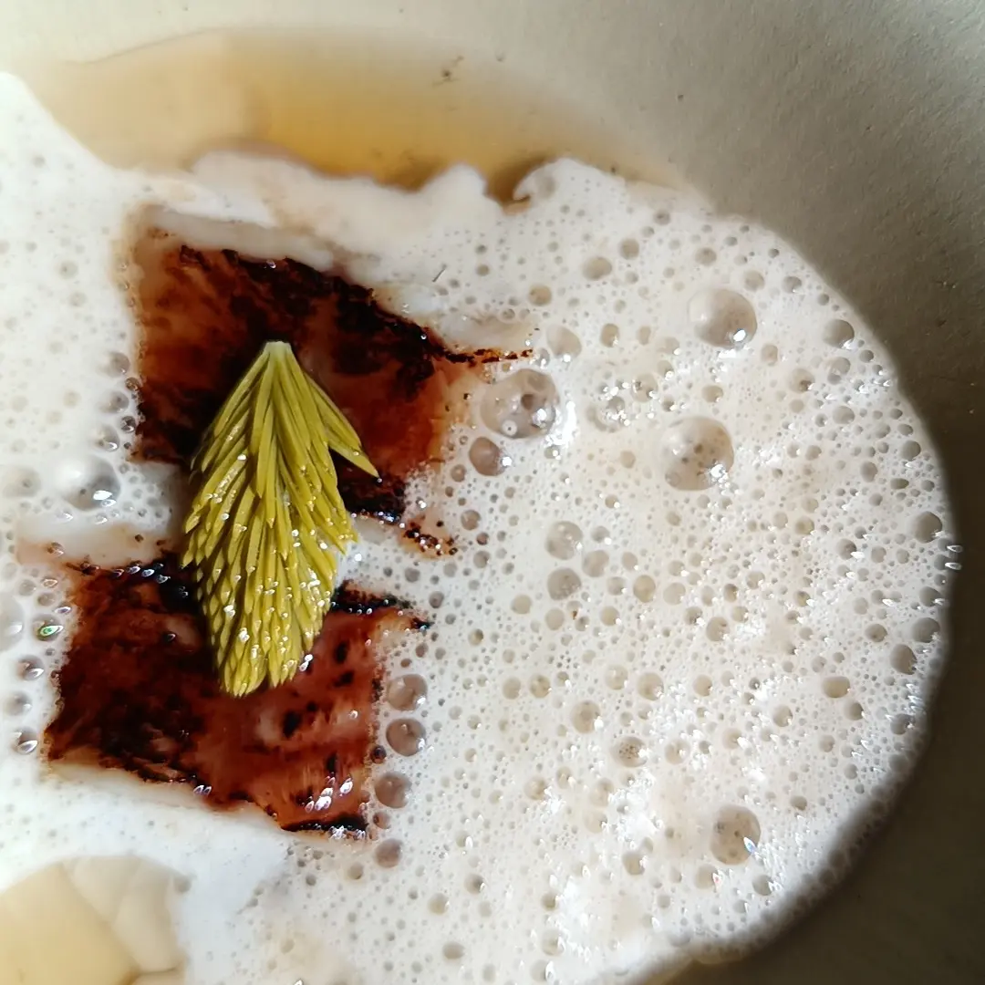 creation thumb for Jellied wild hops with smoked eel and chestnut foam, spruce