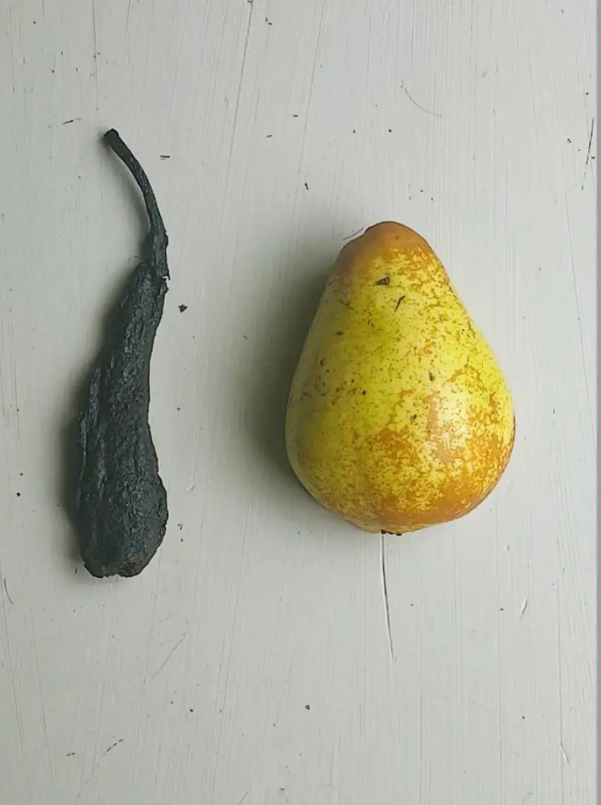 creation thumb for Black Pear