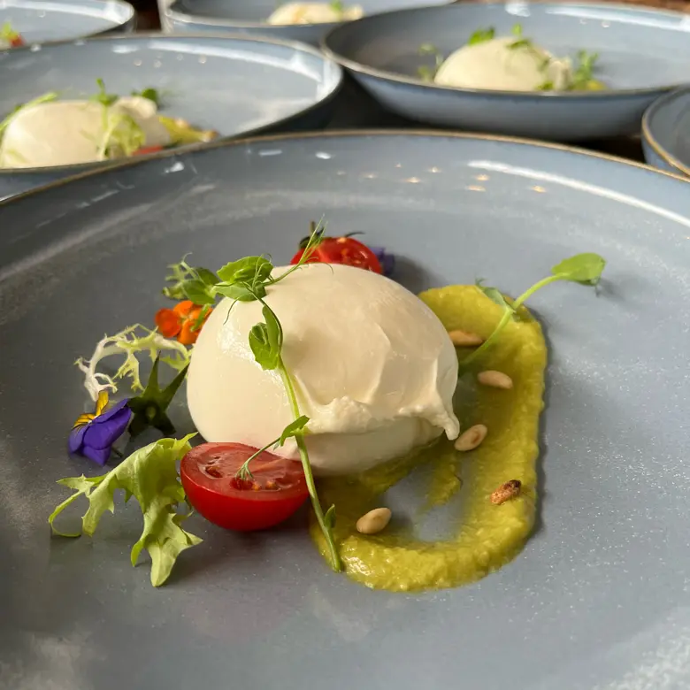 creation thumb for Buratta with avocado souce