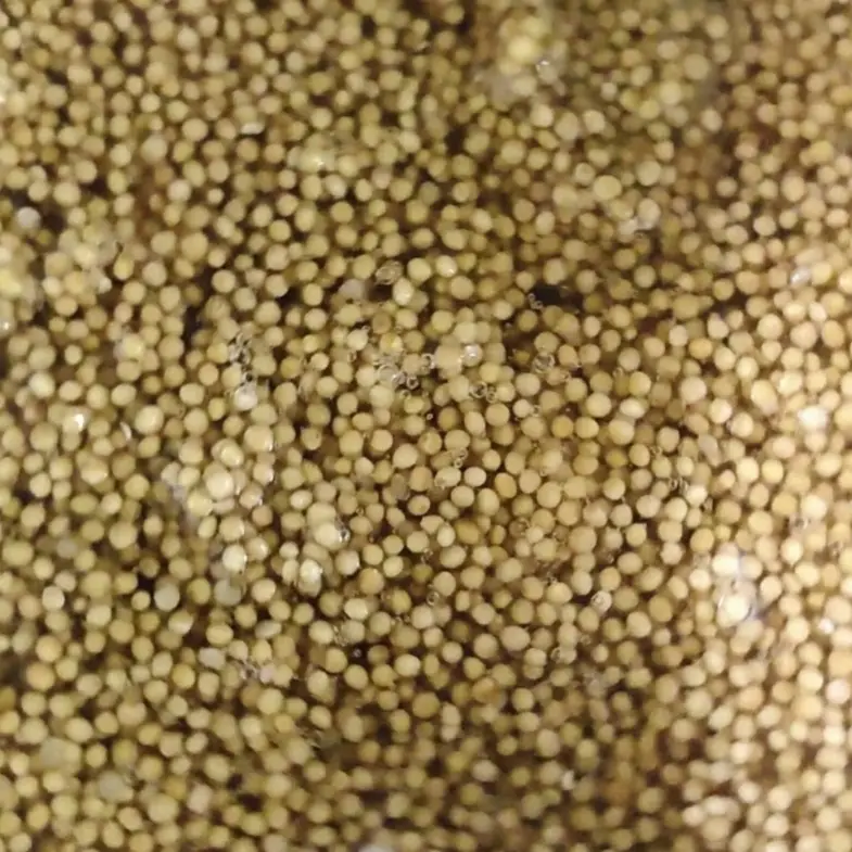 creation thumb for Pickled Mustard Seeds