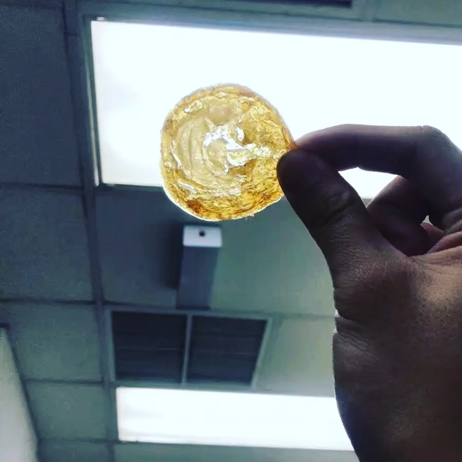 creation thumb for Chicken Glass