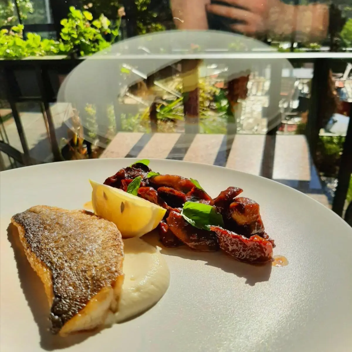 creation thumb for Seabass with glazed porcini mushrooms,dried tomatoes and cauliflower puree