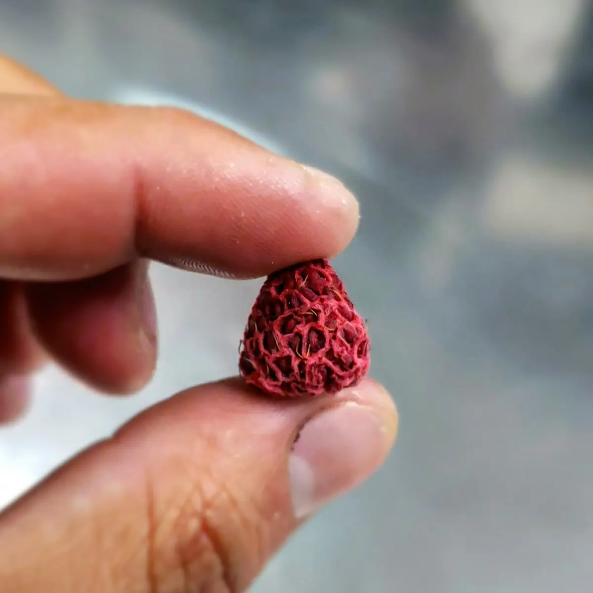 creation thumb for Strawberry