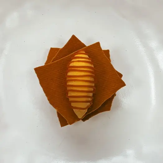 creation thumb for Chocolate Miso Tuile