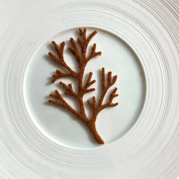 creation thumb for Spelt and Mushroom Tuile