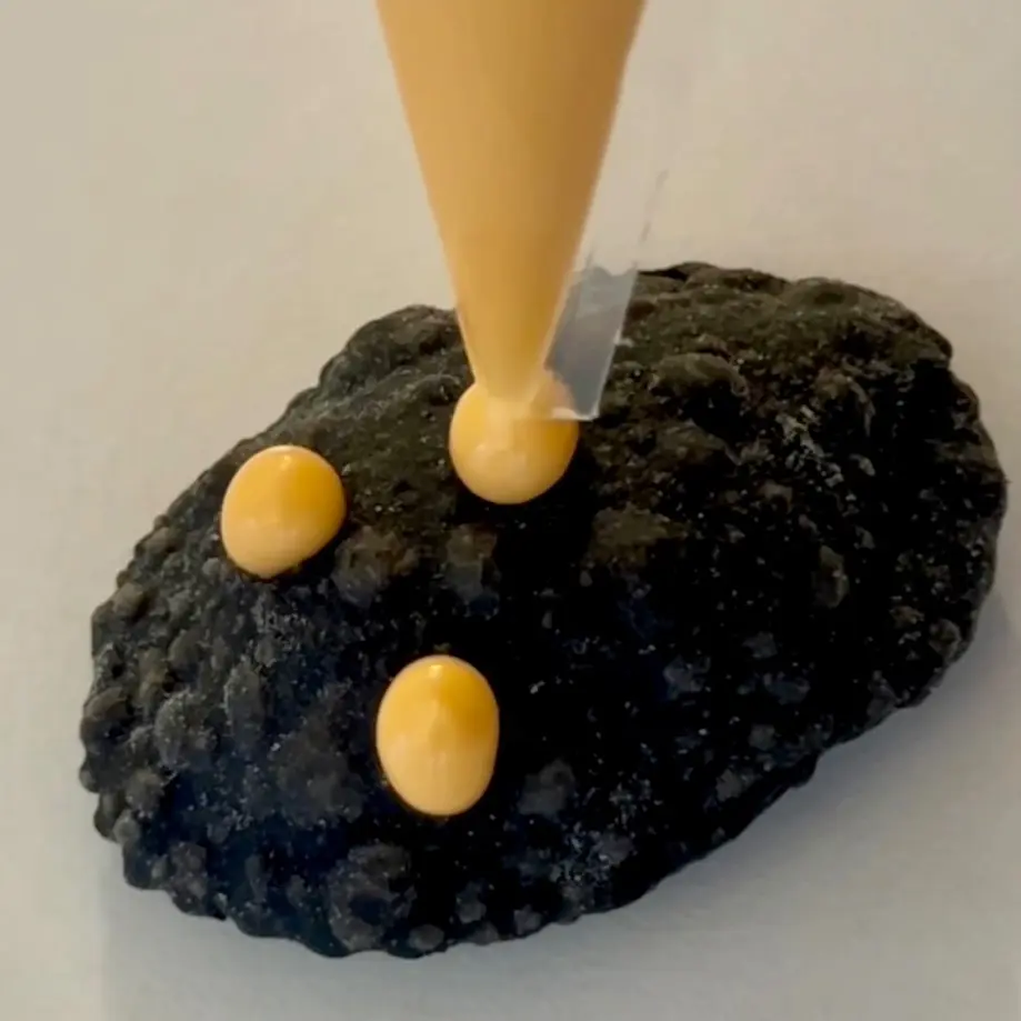 creation thumb for Shrimp Emulsion 🦐