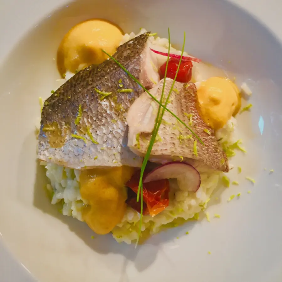 creation thumb for Risoto de Lima e coentros com filete de robalo e pargo ao vapor, espuma de bisque
