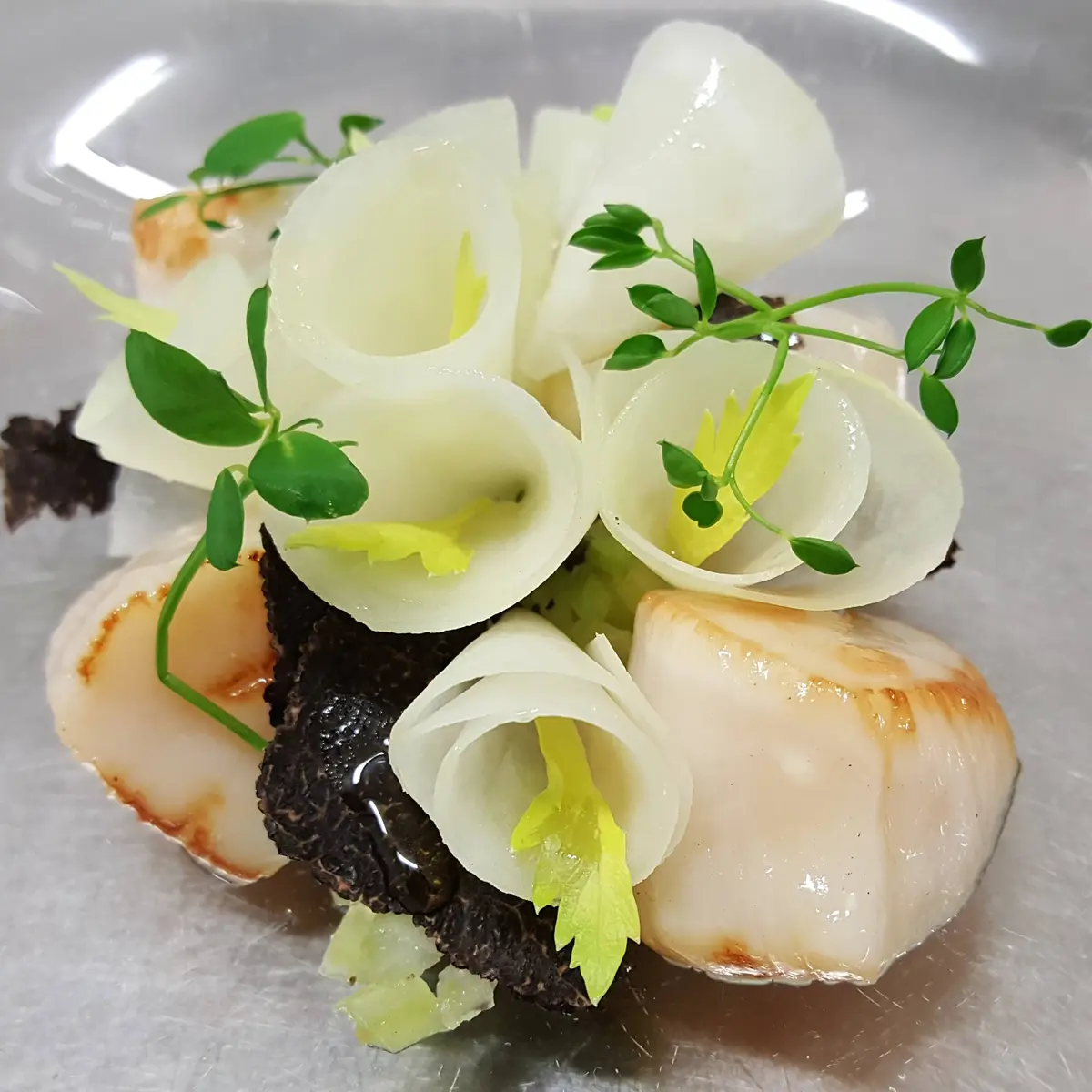 creation thumb for Coquilles Saint-Jacques von Nos