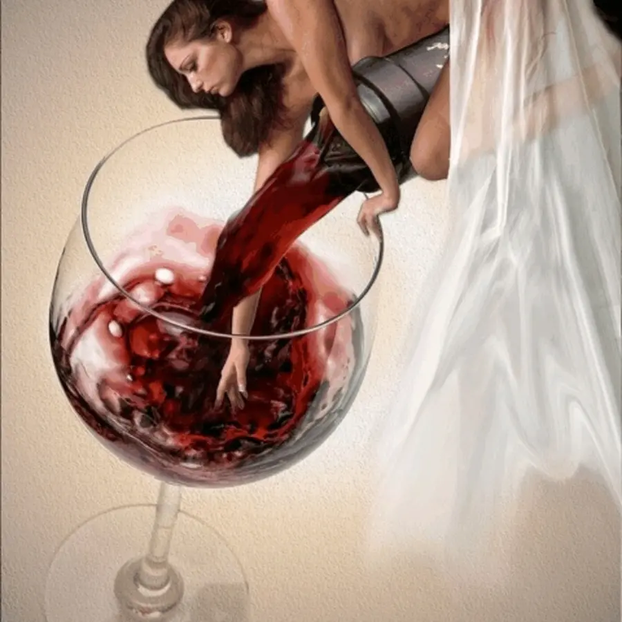 creation thumb for www.anic.invino.club