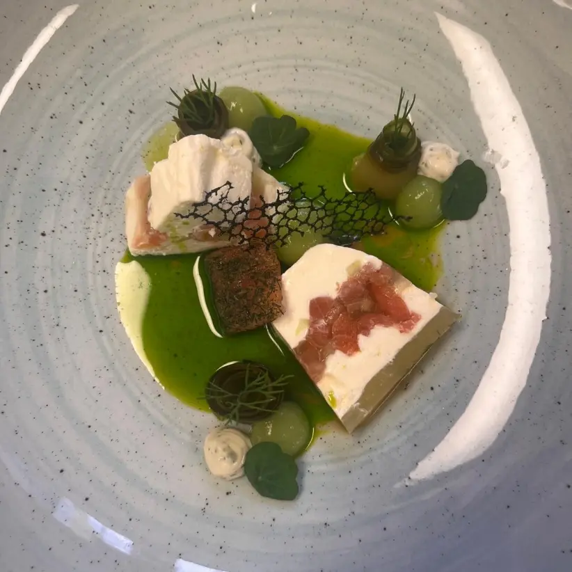 creation thumb for Salmon dill cucumber sour cream